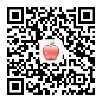 爱游戏echo